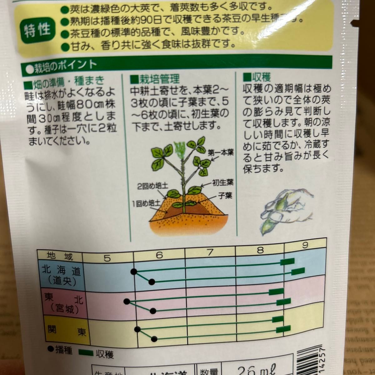 【エダマメ　茶香り】早生