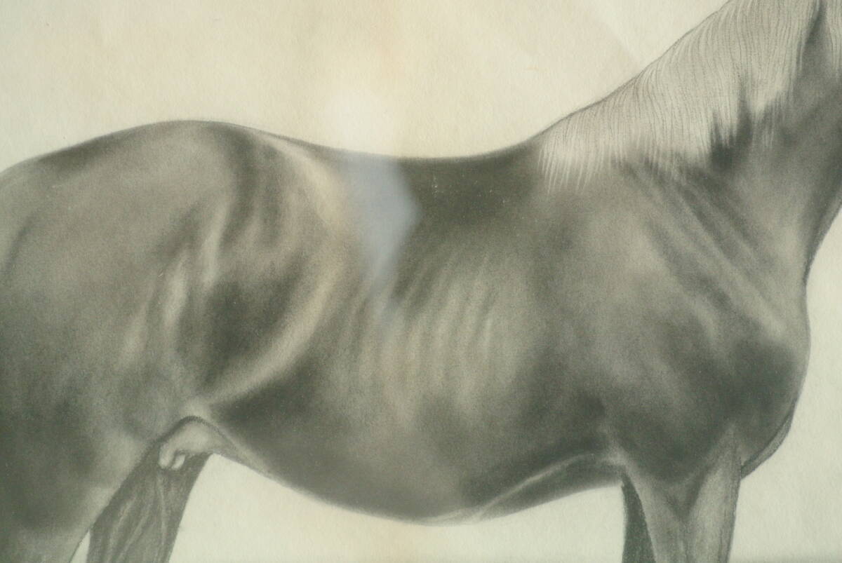 . mountain (. middle Kiyoshi .) parent . horse charcoal drawing genuine work guarantee inspection ] illusion. horse .. Hokkaido 