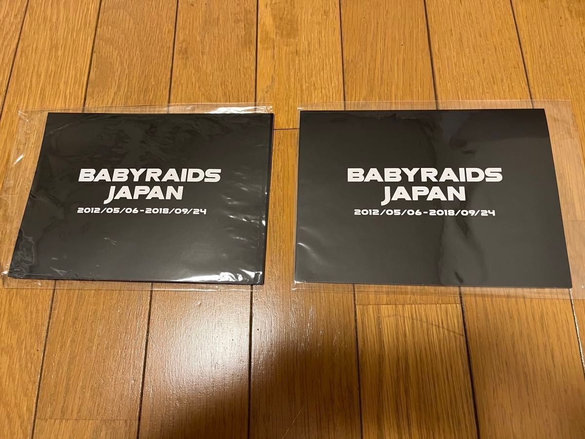 BABYRAIDS JAPAN THE LAST SCENE ベイビーレイズ ラストライブ グッズセット ＋ Tシャツ&サインなど