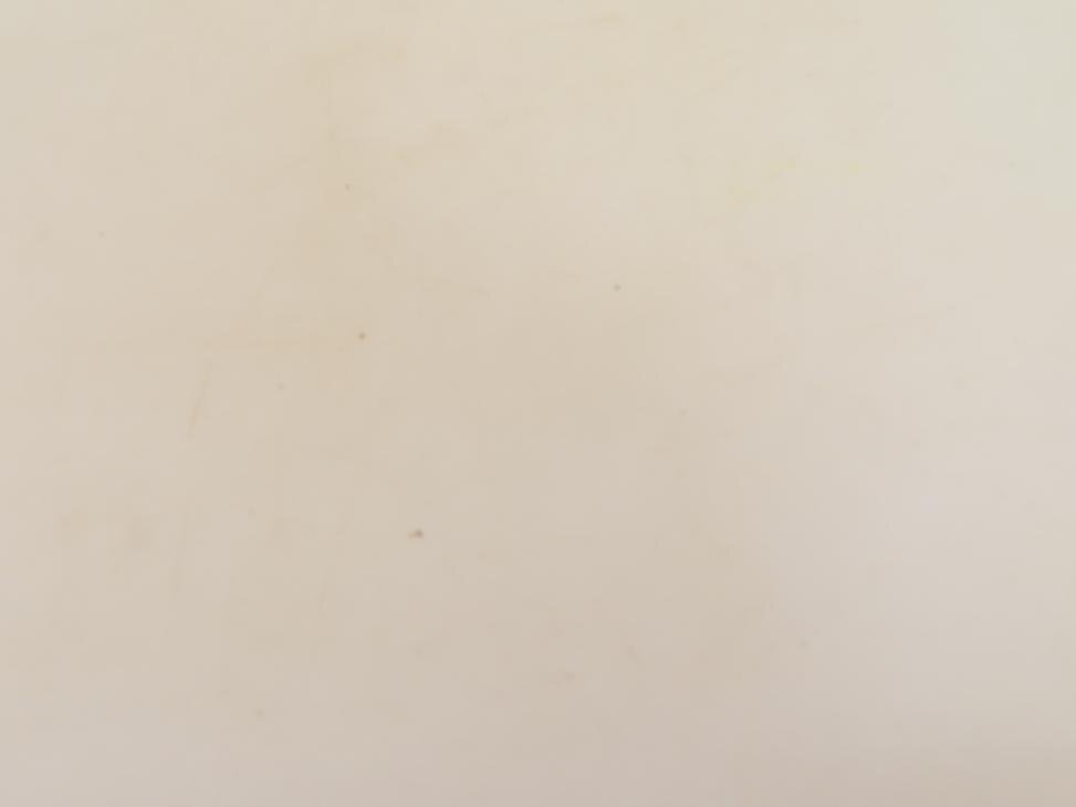 2061 「エアプランツ」tillandsia latifolia × peiranoi 抜き苗【・希少・美株・チランジア】_画像7