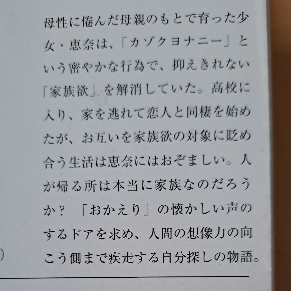 村田沙耶香   １冊450～500円　２冊900円　３冊1300円　４冊1700円