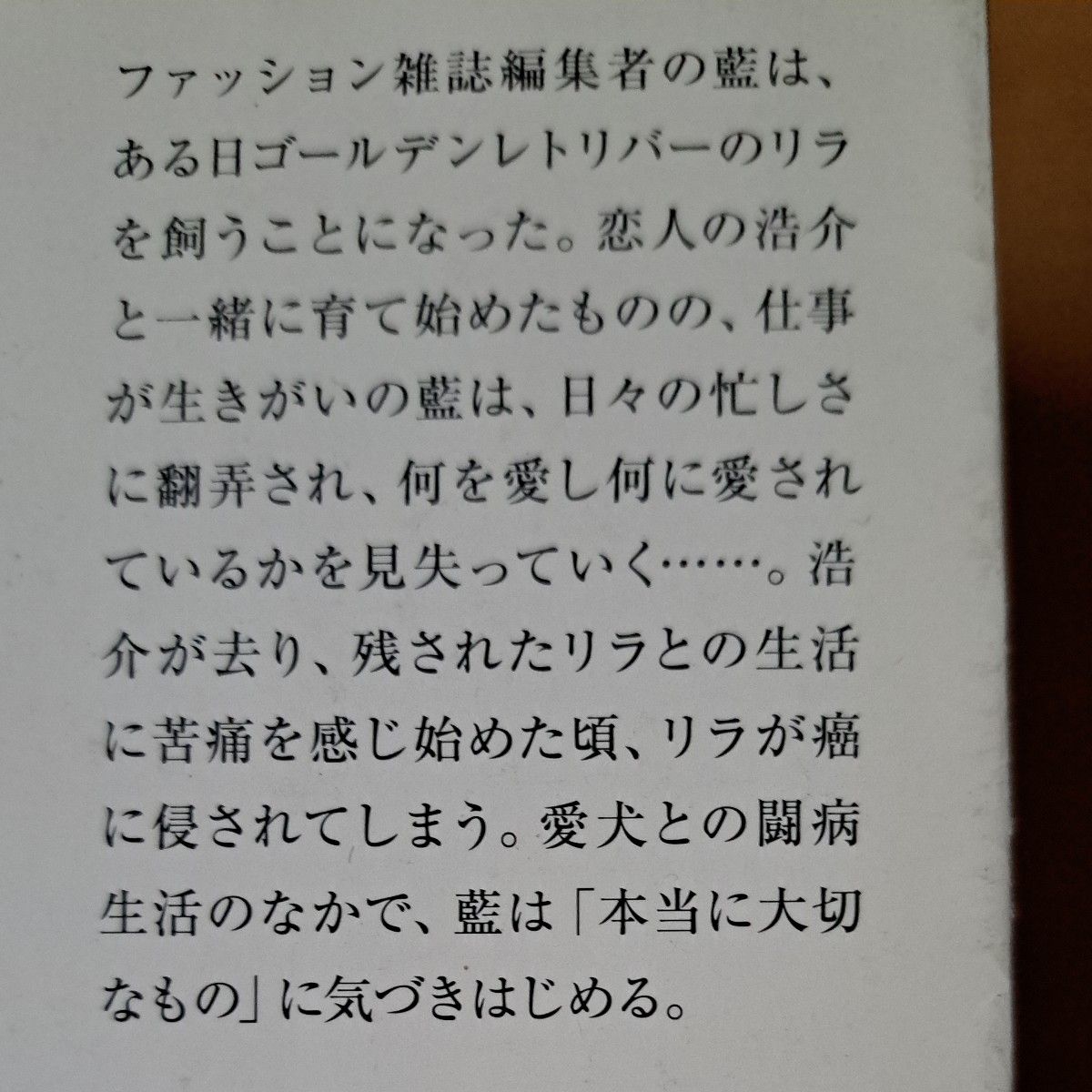 原田マハ／著　一冊400円～600円　２冊900円　３冊1300円　４冊1700円