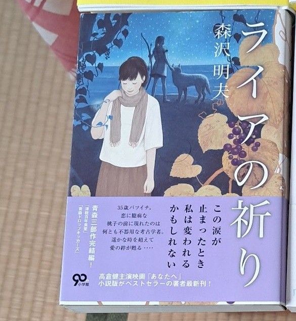  やぴやぴ様専用　ライアの祈り 森沢明夫 １冊800