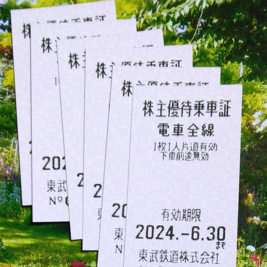 6枚 東武鉄道 株主優待乗車証 期限2024.6.30 きっぷ 切符の画像1