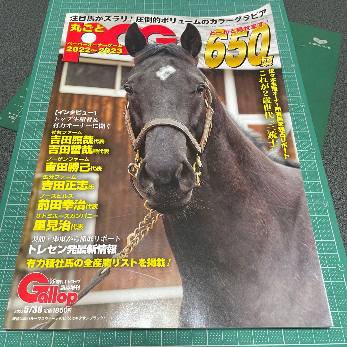 Gallop臨時増刊　丸ごとPOG 2022〜2023