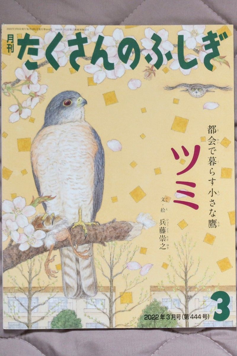 月刊 たくさんのふしぎ お好きな5冊