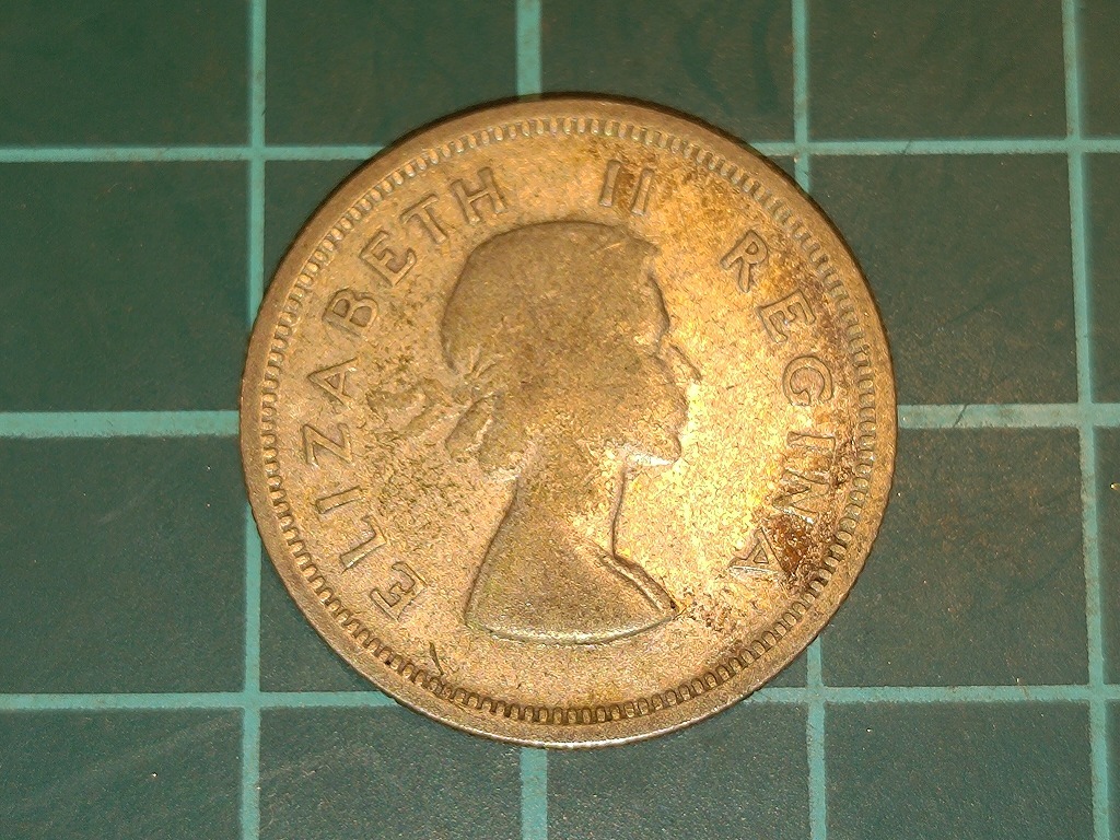【1円スタート】イギリス連邦 南アフリカ連邦 1シリング銀貨 1955年 エリザベス2世の画像2