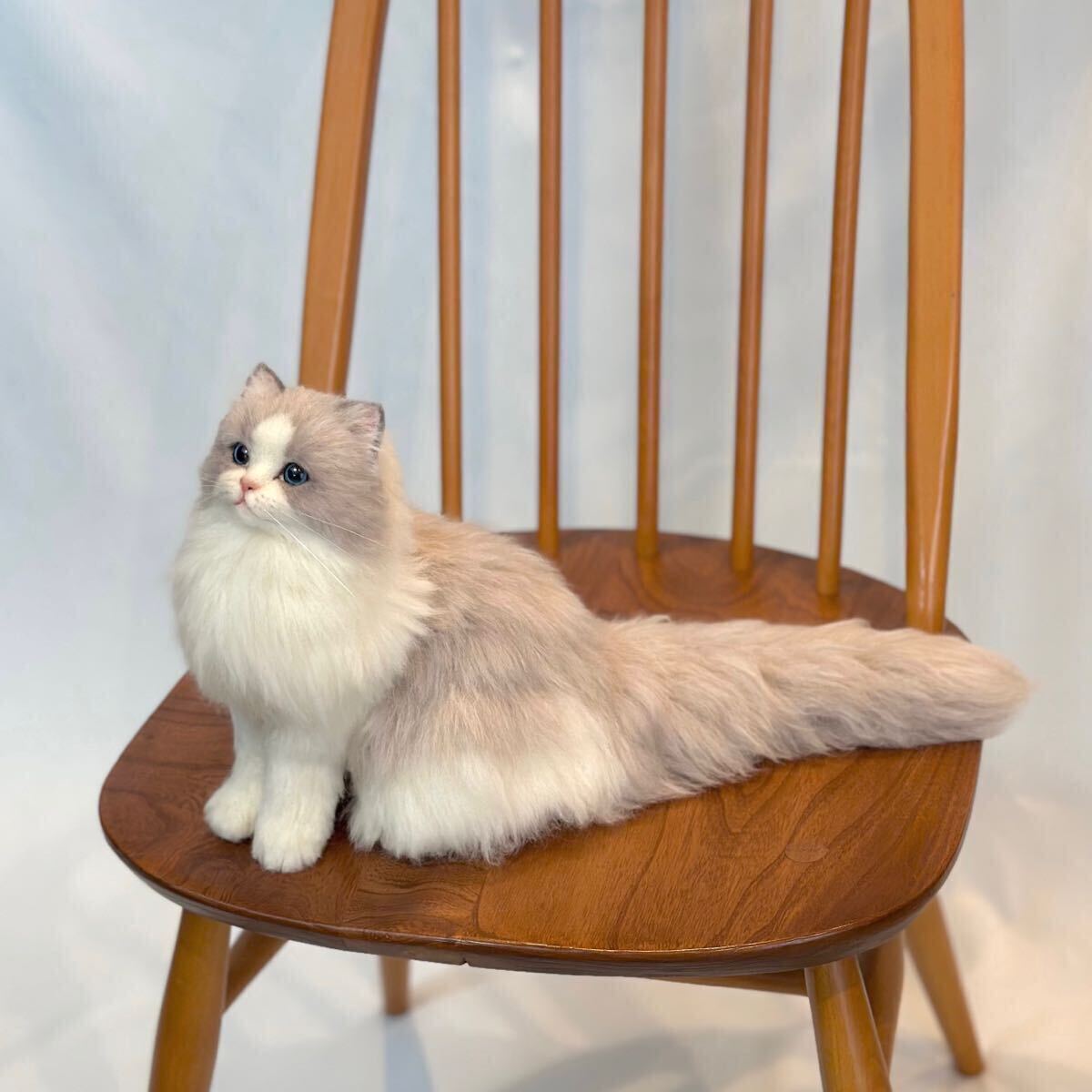Bibian 比比昂- nenneco. ラグドール羊毛フェルト成猫長毛猫 Bibian 比比昂- nenneco. ラグドール羊毛フェルト成猫長毛猫