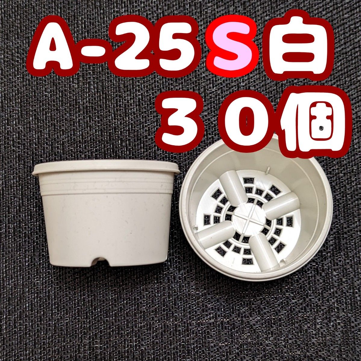 プラ鉢《A-25S》白 30個 プラ鉢 2.5号相当 スリット鉢 多肉植物 プレステラ 植木鉢