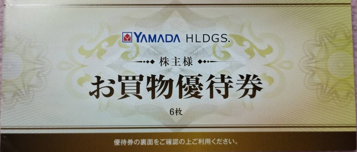 ヤマダ電機（ヤマダホールディングス）の株主優待券　３０００円分（５００円券×６枚）_画像1