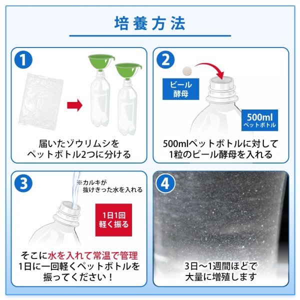 【送料無料】 即日発送 ゾウリムシ1500ml ＋ ビール酵母10錠 培養セット 培養 メダカの餌 針子 稚魚 餌 生き餌 エサ ぞうりむし ミジンコ_画像4