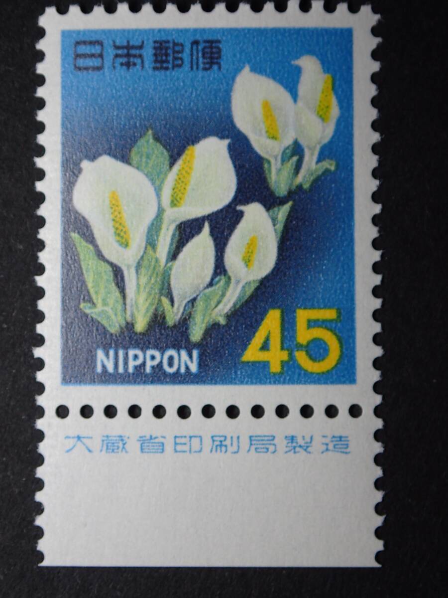 ◆ 新動植物国宝・1966年 ミズバショウ 45円 銘版付 NH極美品 ◆_画像1