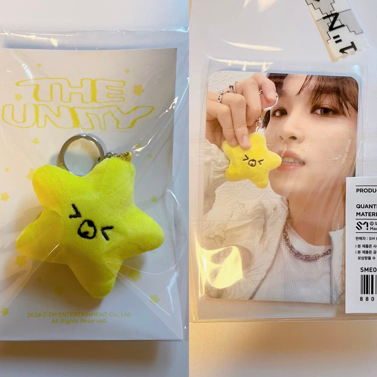 NCT127 THE UNITY STARFISH スターフィッシュ ヘチャン ヒトデ NCT127 THE UNITY STARFISH スターフィッシュ ヘチャン ヒトデ