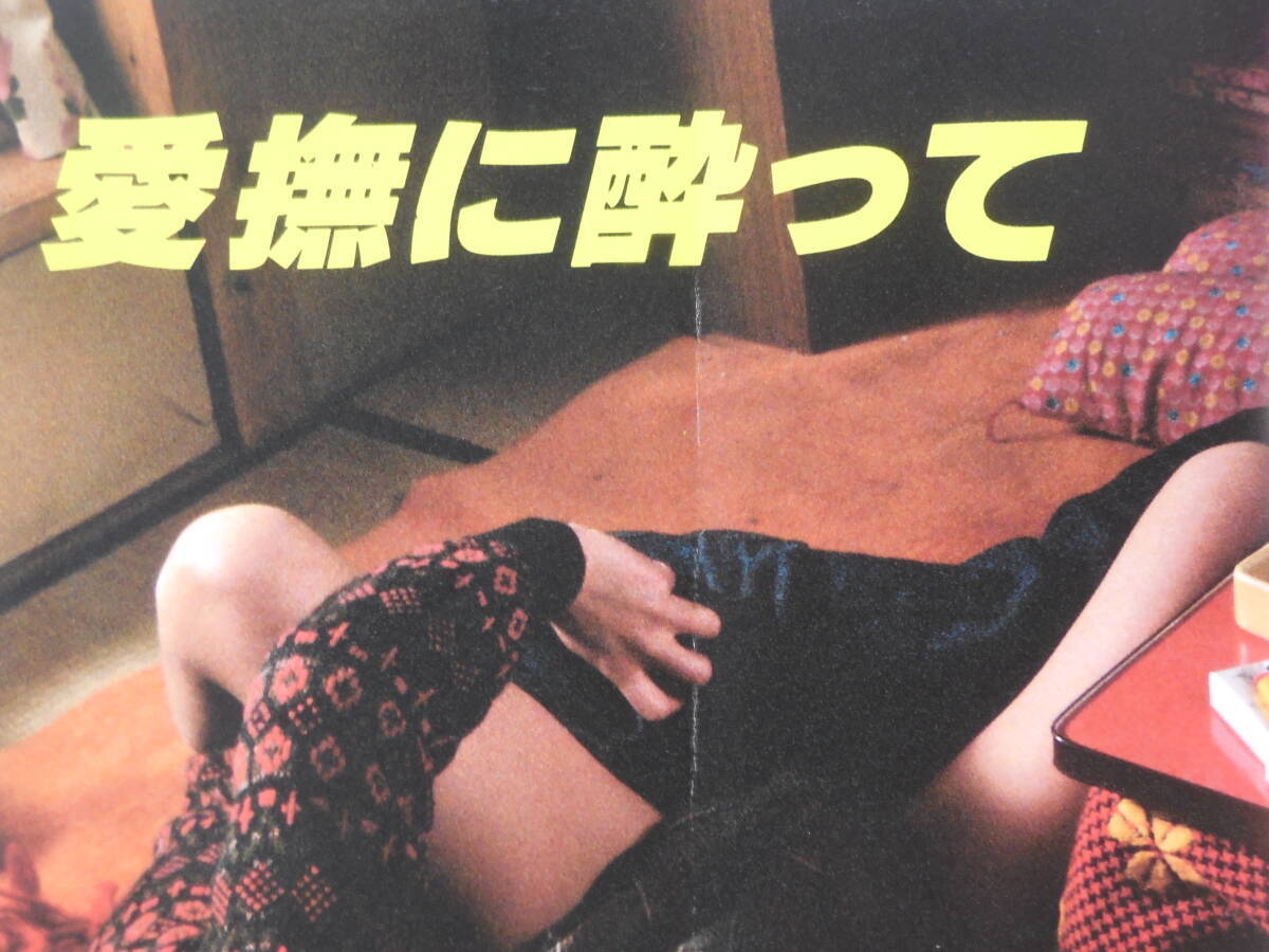 映画の友 EIGA NO TOMO 1982年5月 倉田まり子_画像2