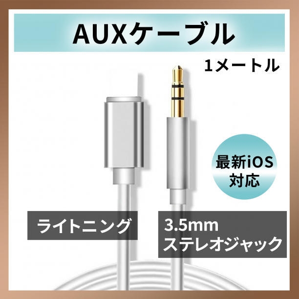 iPhone Lightning 3.5mm cable AUX earphone white car 