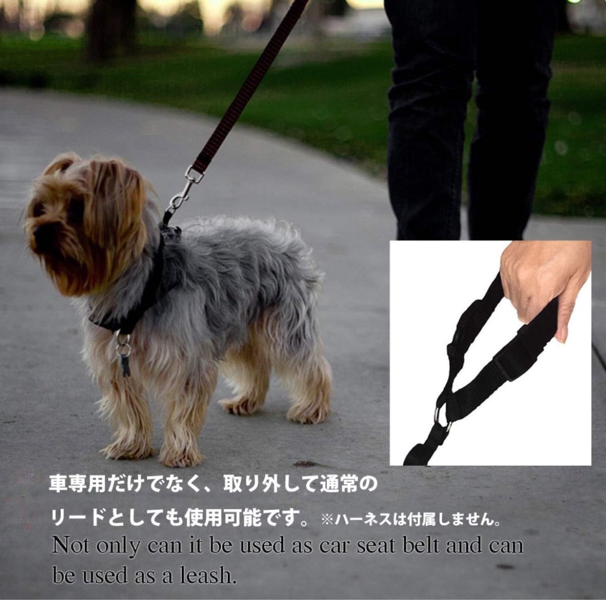 犬用 シートベルト ヘッドレスト 取付 簡単 装着 安全　黒色