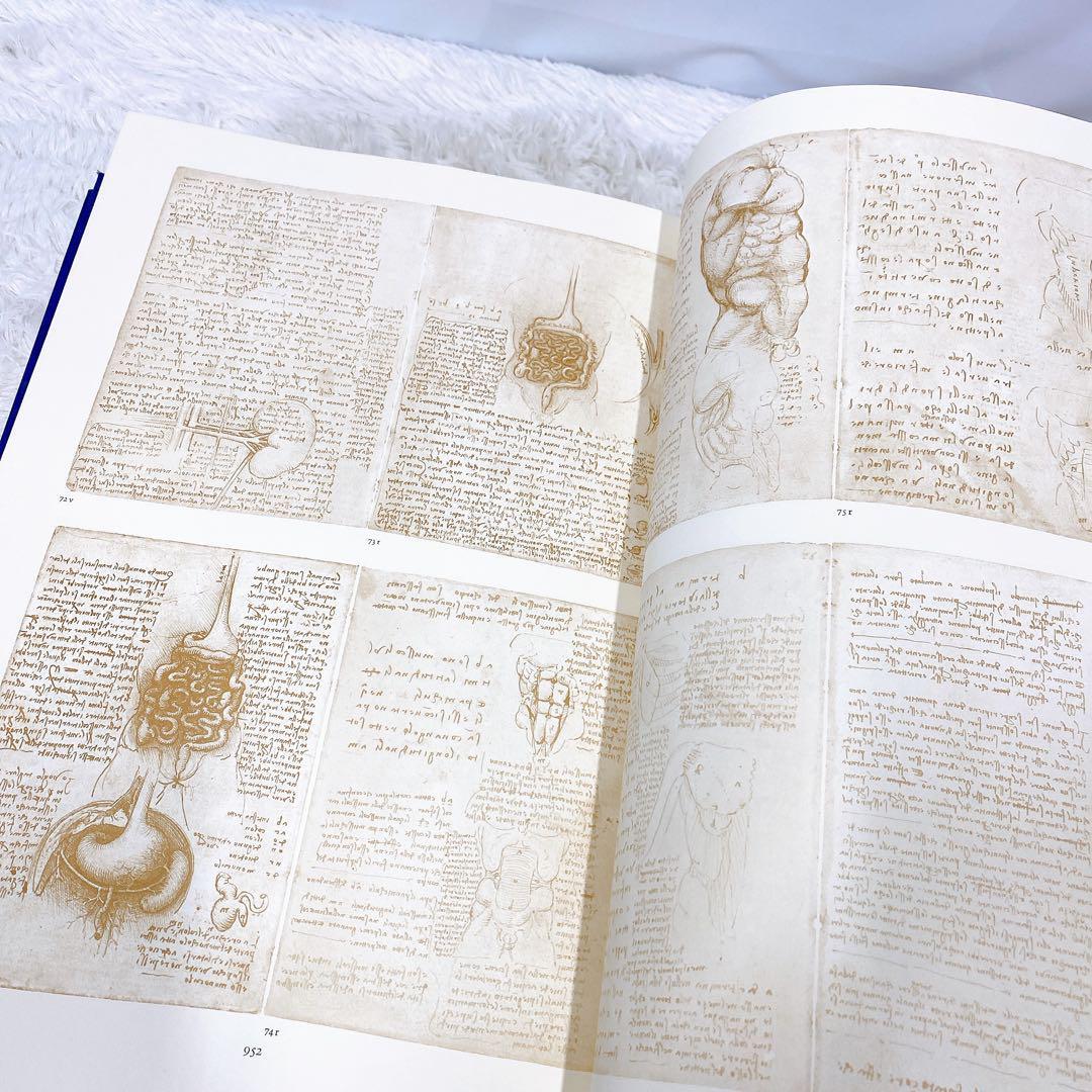  обычная цена 150 десять тысяч иен большой книга@ Leonardo da vinchi анатомия рука . ограничение 350 часть 