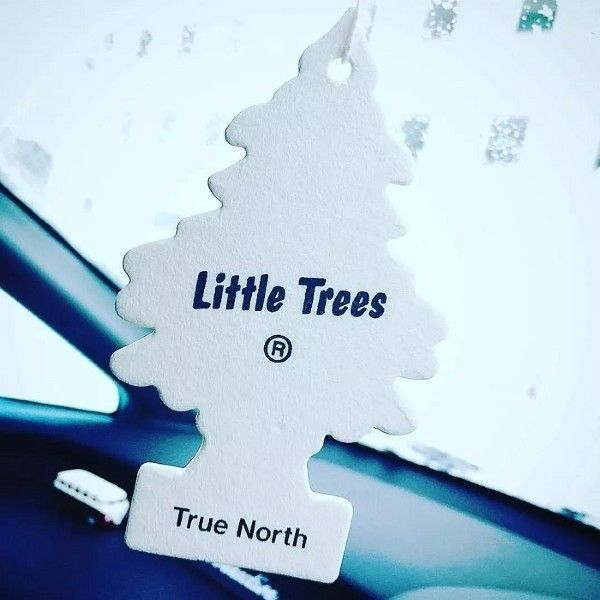 Little Trees リトルツリー エアフレッシュナートゥルー・ノース 10枚セット USDM 芳香剤