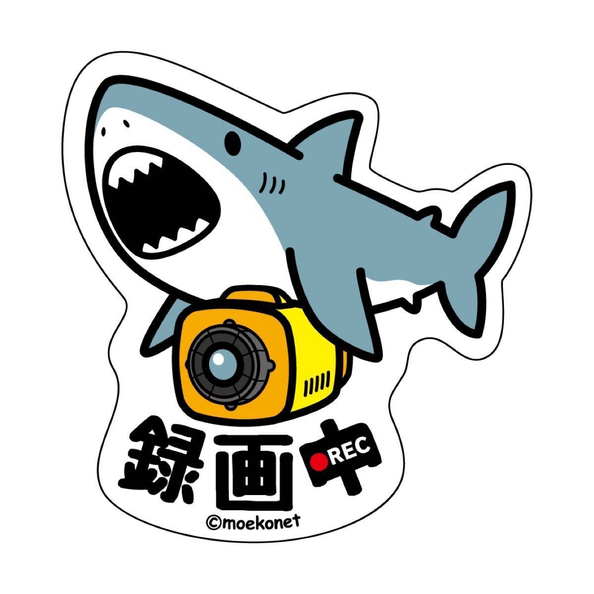 ホホジロザメ*サメ【録画中ステッカー】ドライブレコーダー/防犯カメラ共通