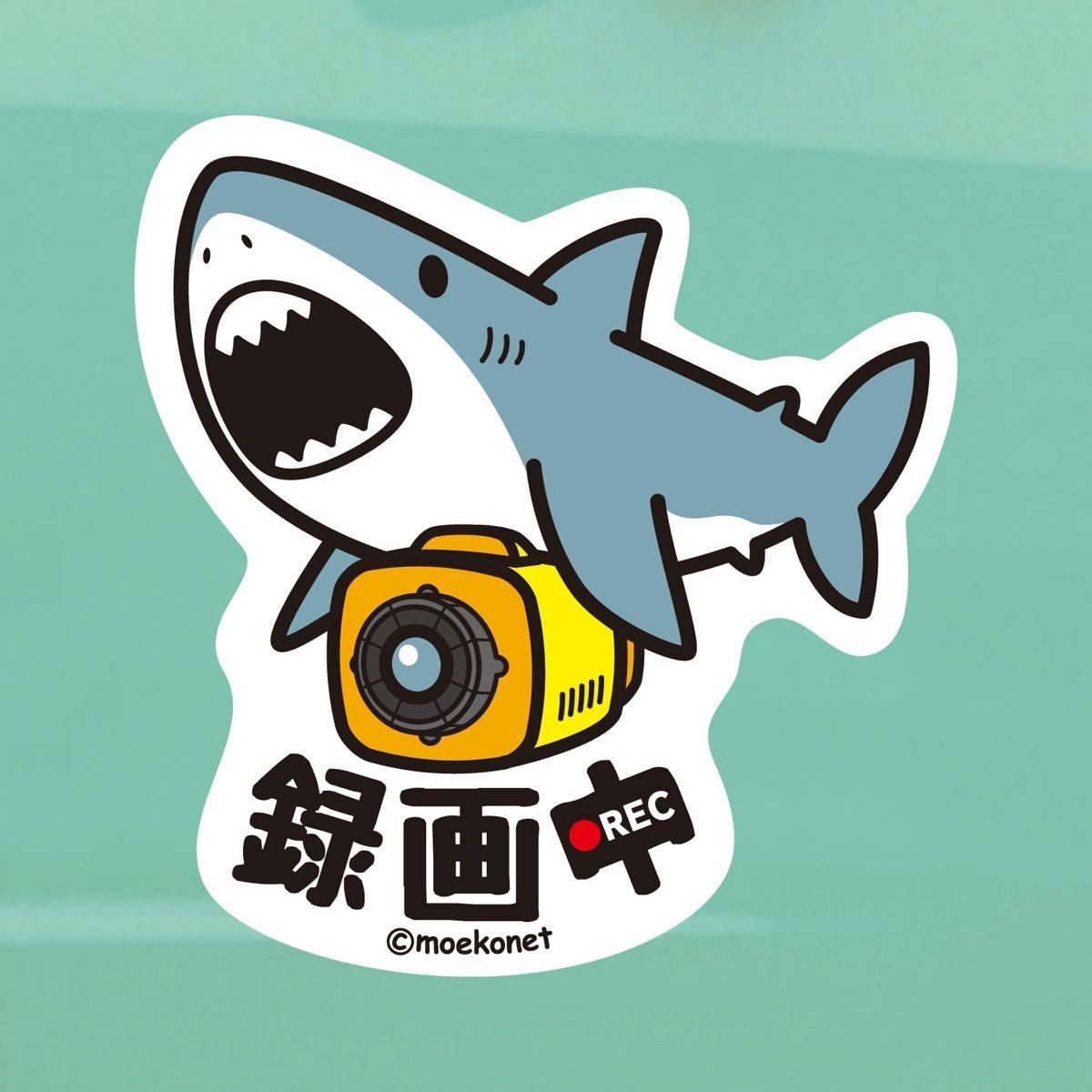 ホホジロザメ*サメ【録画中ステッカー】ドライブレコーダー/防犯カメラ共通