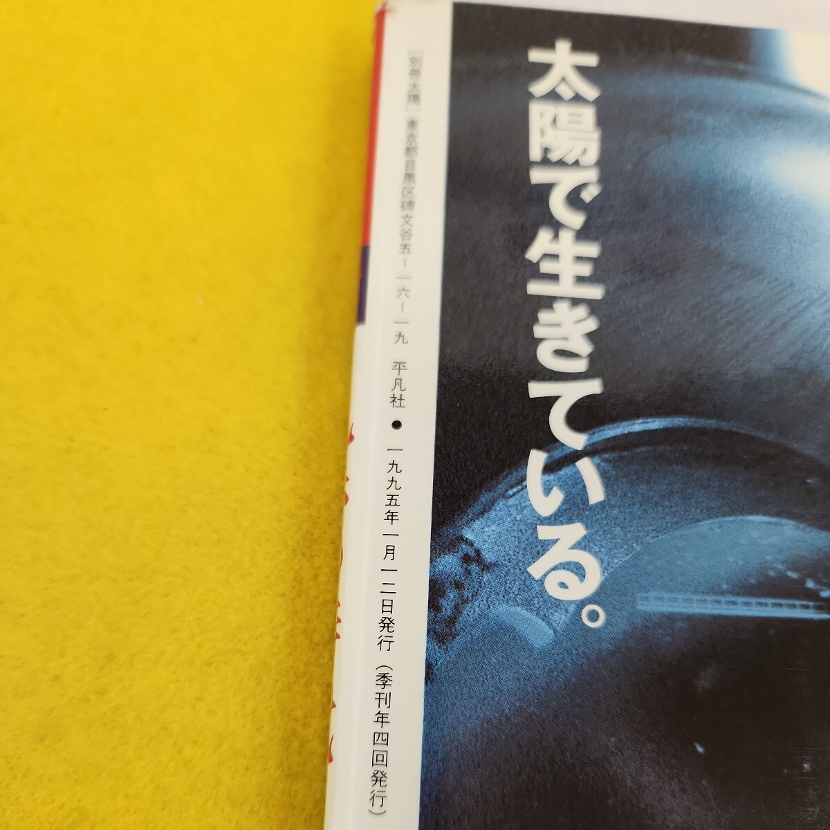 C56-048 別冊太陽 1994年冬号 日本のこころ88 乱歩の時代 平凡社 蔵書印あり 綴じ込み付録に折り目あり。_画像5