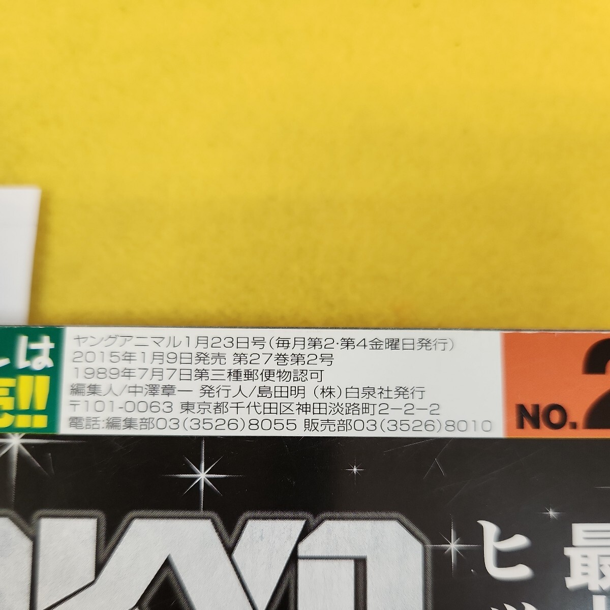 C56-059 週間ヤングアニマル 2015年1月23日号No.2 松井玲奈 石田佳蓮 東京おさんぽが一るず他 白泉社 付録あり 背表紙破れあり。_画像5