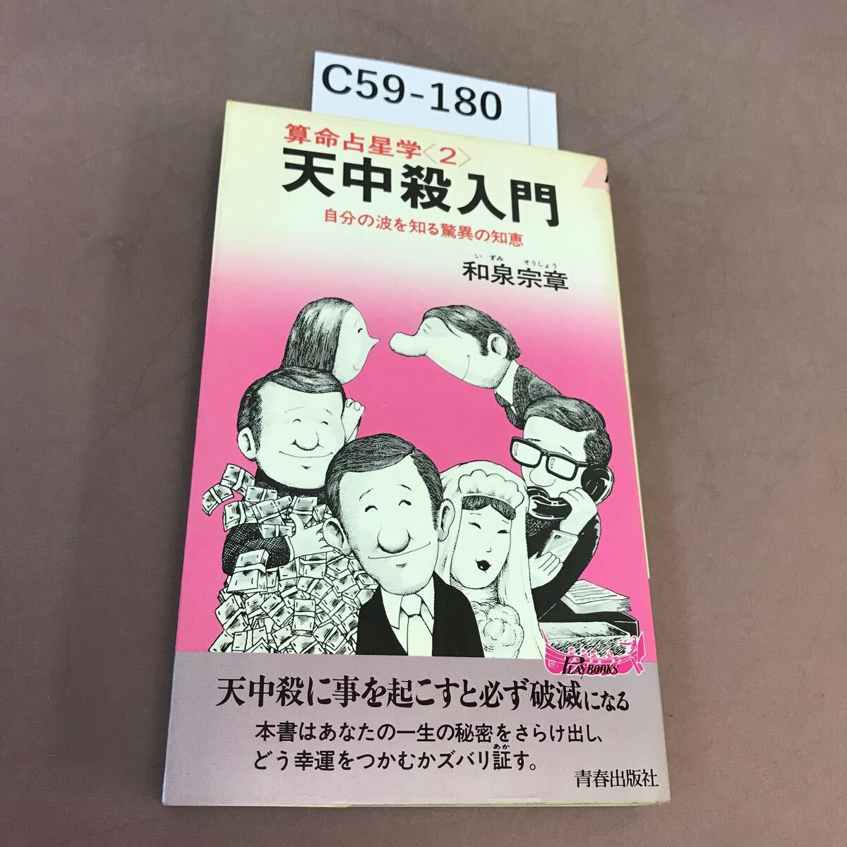 C59-180 天中殺入門 和泉宗章 青春出版社 汚れ有り_画像1