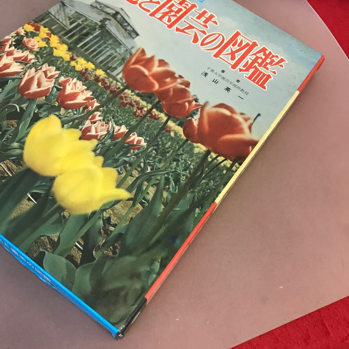 C64-037 小学館の花と園芸の図鑑 学習図鑑シリーズ 25 - 図鑑 C64-037 小学館の花と園芸の図鑑 学習図鑑シリーズ 25 - 図鑑