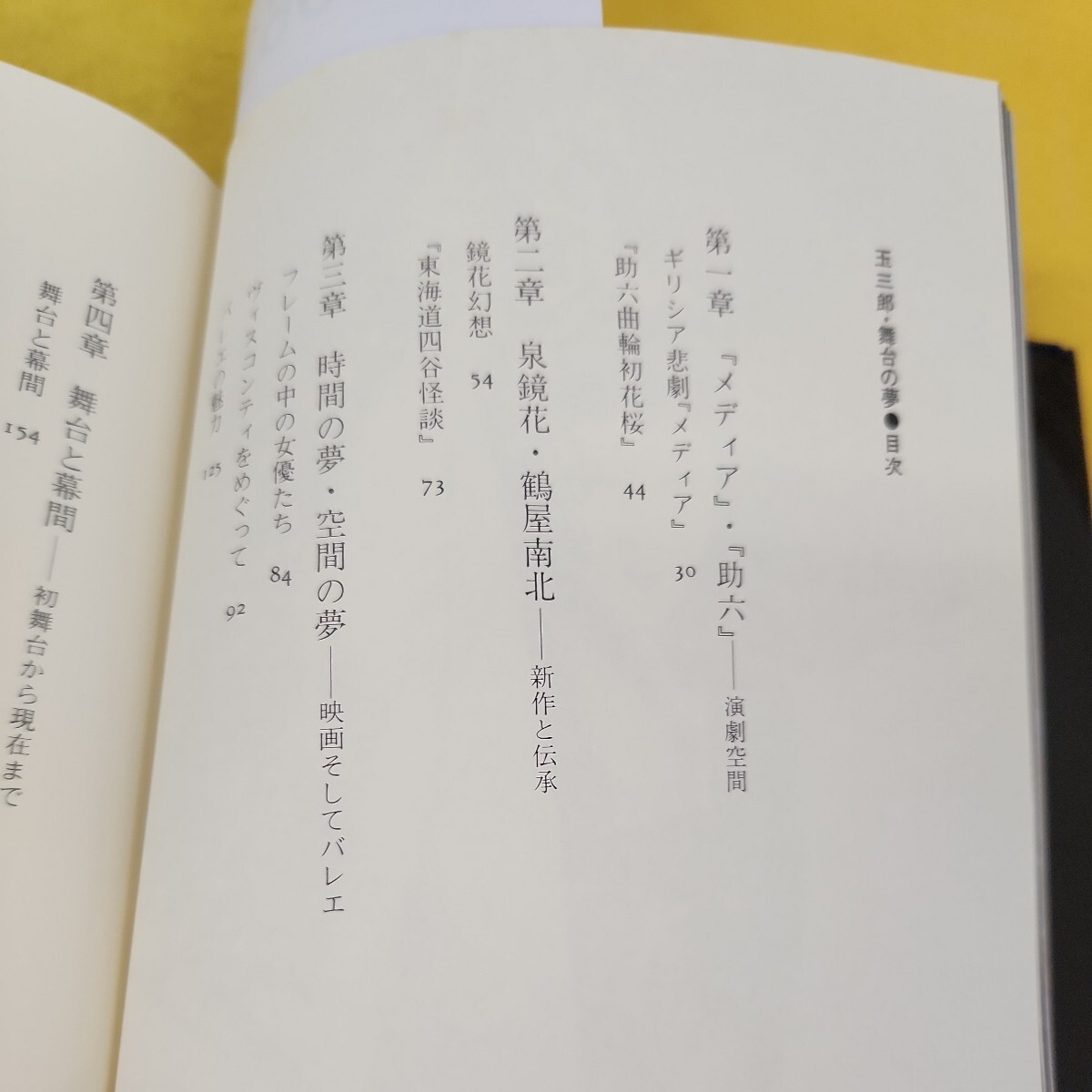 C62-061 玉三郎・舞台の夢 坂東玉三郎VS須永朝彦 新書館 書き込みあり、記名塗りつぶしあり、水ヨレあり、カバーに傷、角破れあり。_画像4