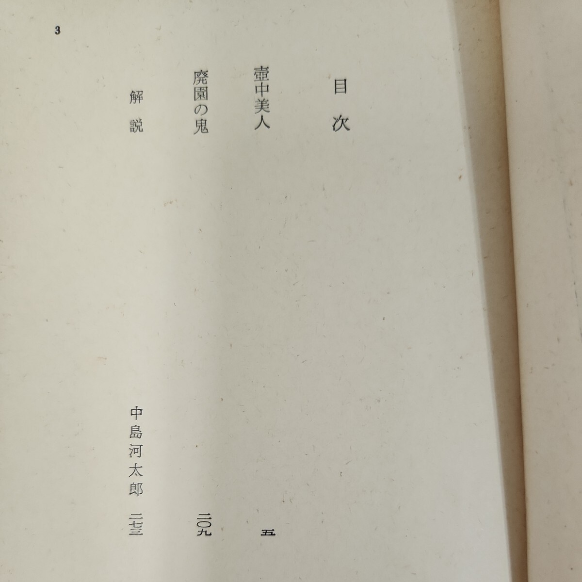 C63-097 壺中美人 横溝正史 角川文庫 緑 304 36 記名塗りつぶし有り _画像4