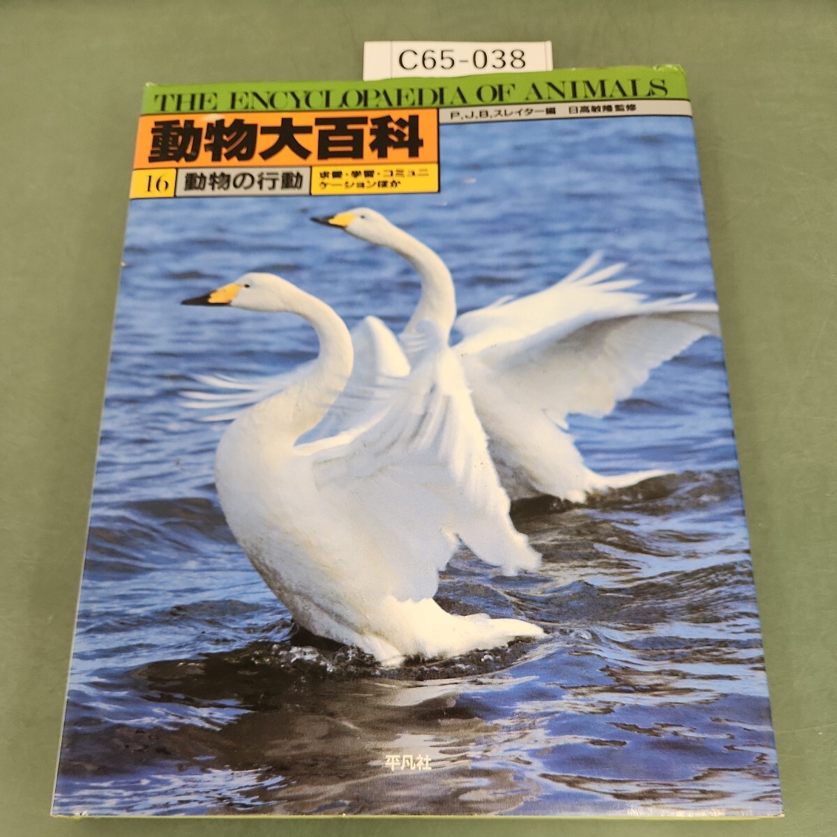 19788年10月発行 韓国語(?)『韓国・朝鮮の蜘蛛?』のほんです 白甲鏞 - 生物学 19788年10月発行 韓国語(?)『韓国・朝鮮の蜘蛛?』のほんです 白甲鏞 - 生物学