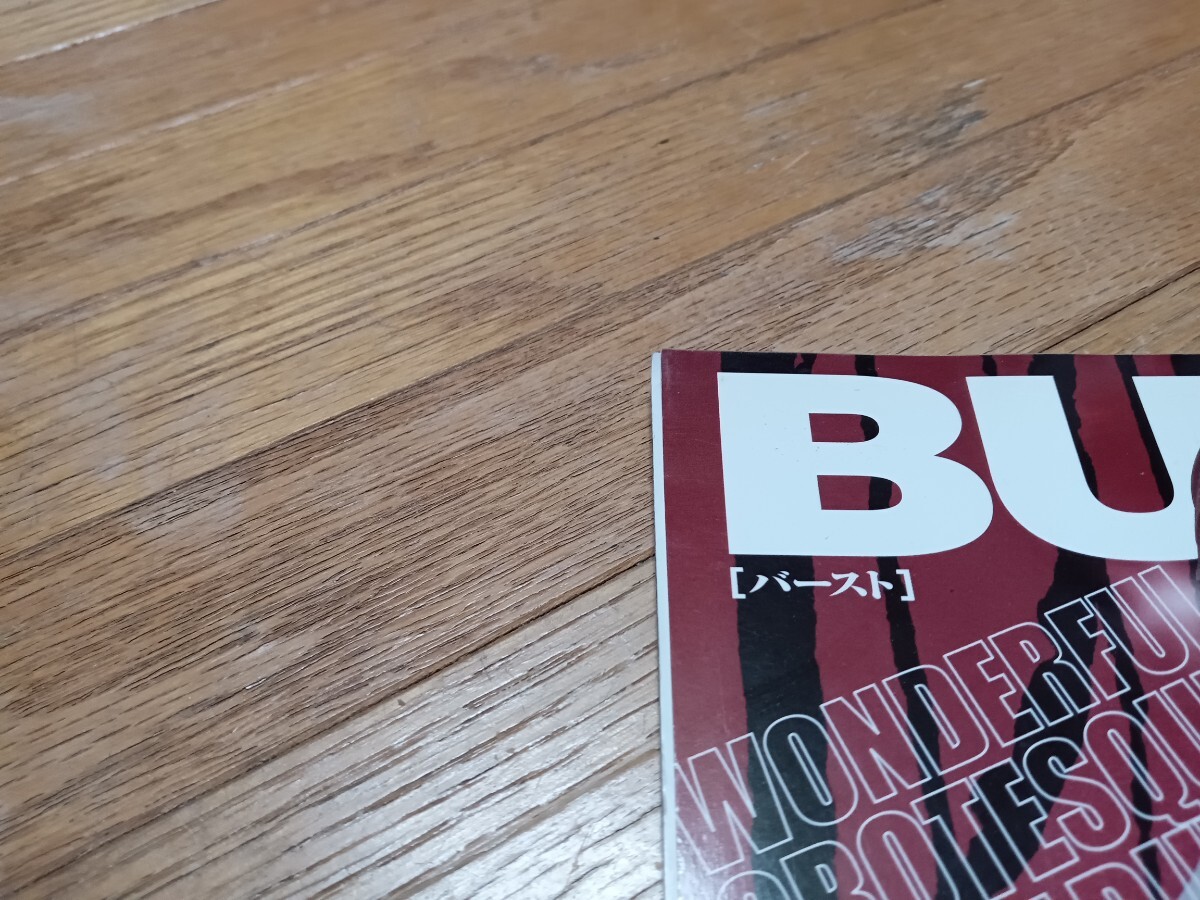 「BURST Vol.74/2004年2月号」雑誌/古本/中古/パンク/ハードコア/TATOO/刺青/ピアス/仲野茂/ANARCHY/HIRO/RISING SUN/石丸玄章/釣崎清隆_画像4