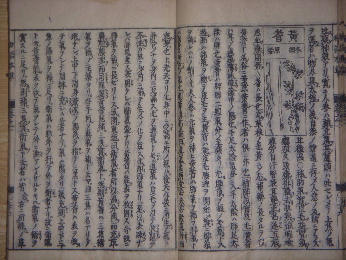 [郡]　江戸和本　岡本一抱著木版画入和語本草綱目　中国医学書諺解　近松門左衛門弟　本草学漢方薬_画像4