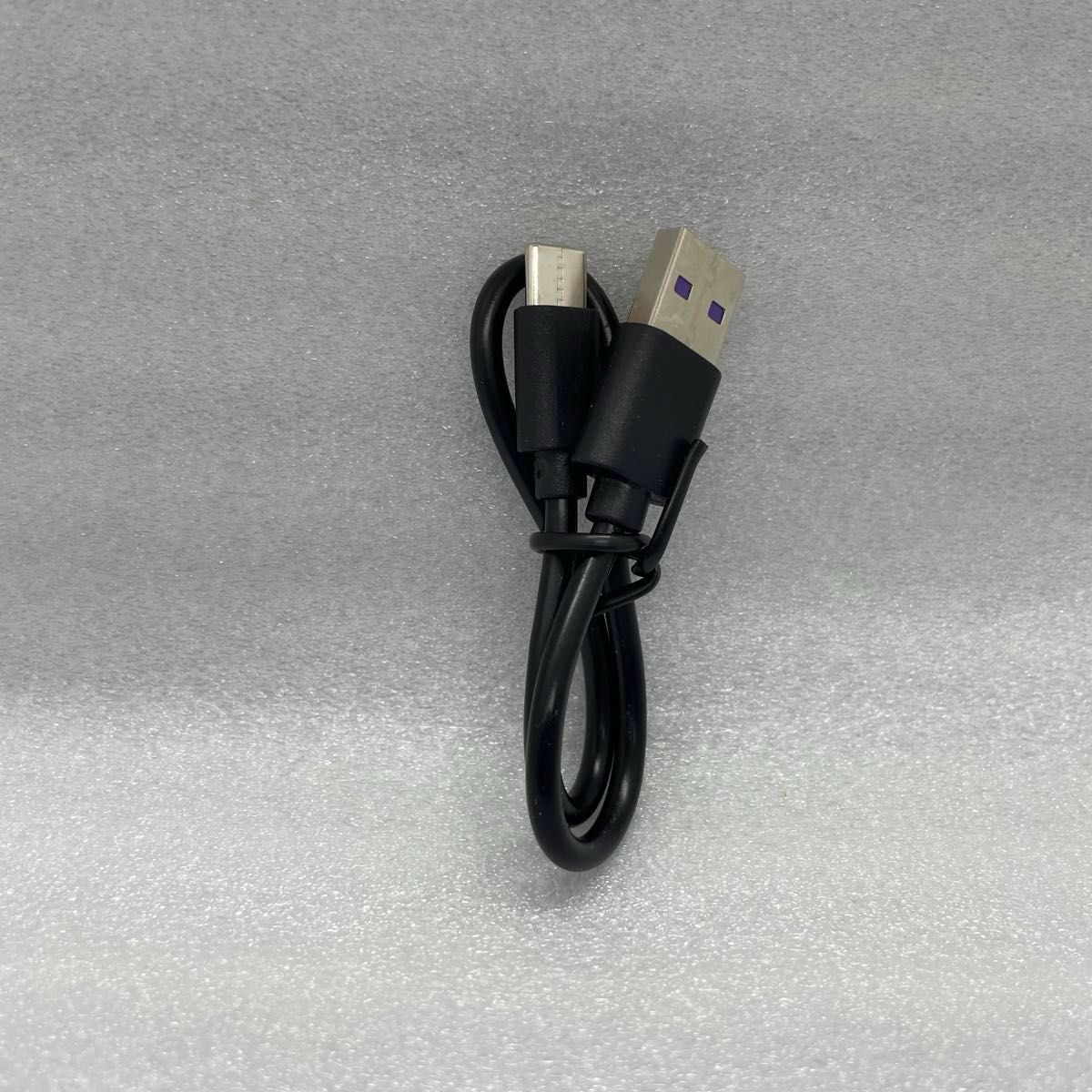 ポータブルSSD 外付け 大容量 16TB USB3.1 Type-C
