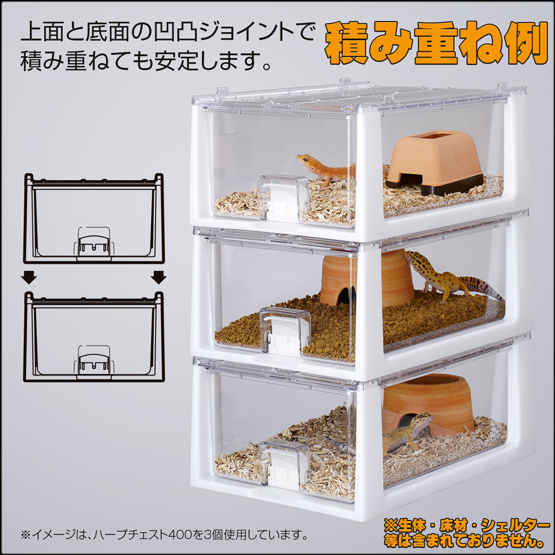 @ арфа грудь 400sdo-(SUDO) арфа craft (HERP CRAFT) рептилии для садок для разведения новый товар потребительский налог 0 иен 