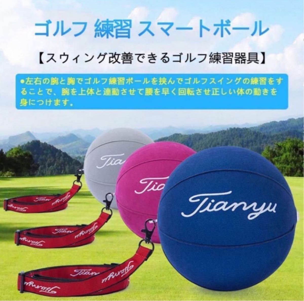 ゴルフ スイング 矯正 ボール トレーニング用品 エアポンプ付き グレー