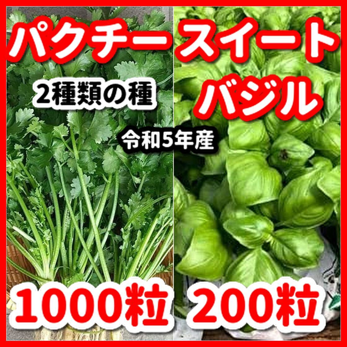  sweet basil & coriander ( large grain type ). kind 2 kind set * increase amount service middle 