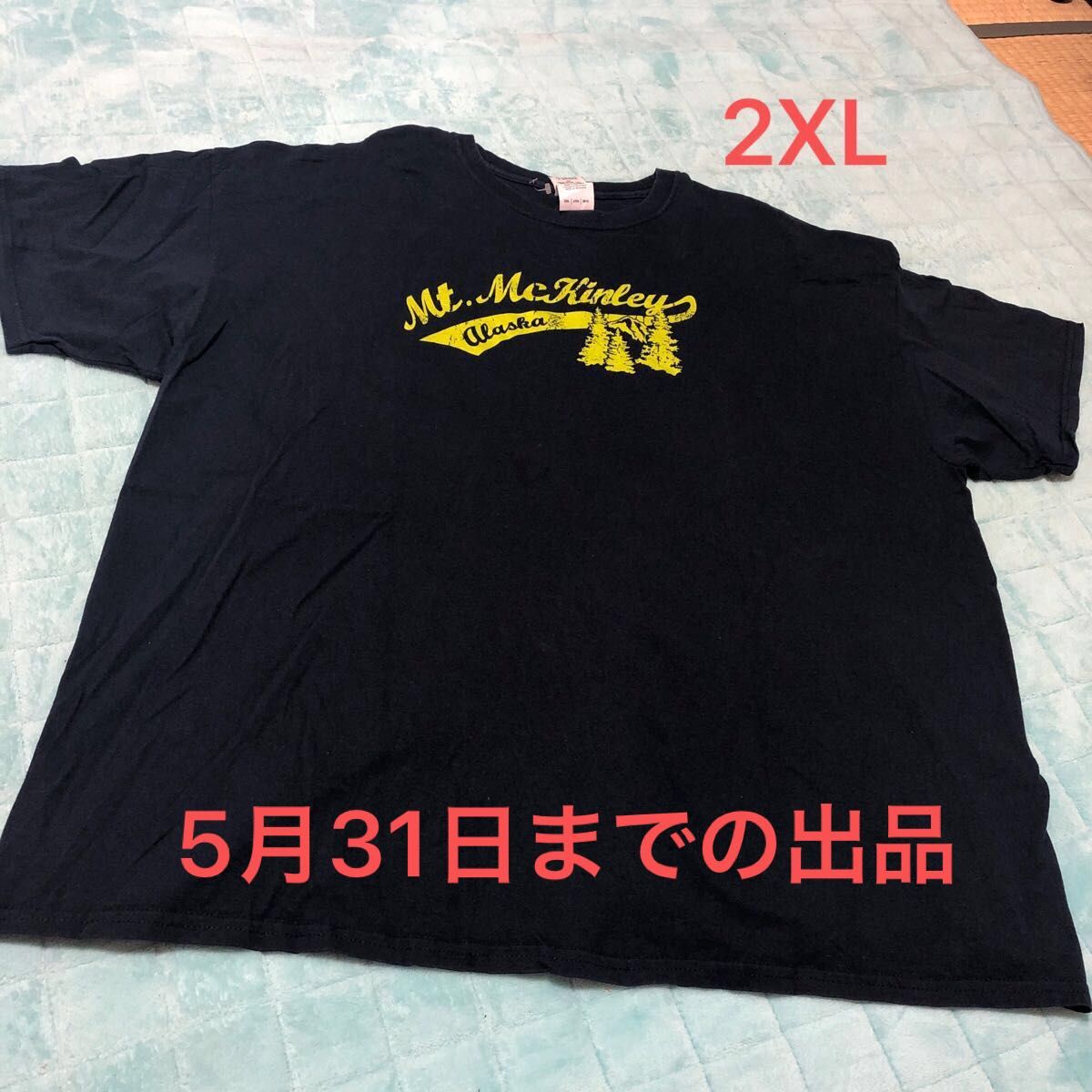 メンズTシャツ アメリカ古着 半袖Tシャツ