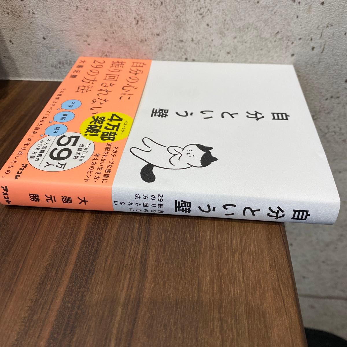 自分という壁　自分の心に振り回されない２９の方法 大愚元勝／著