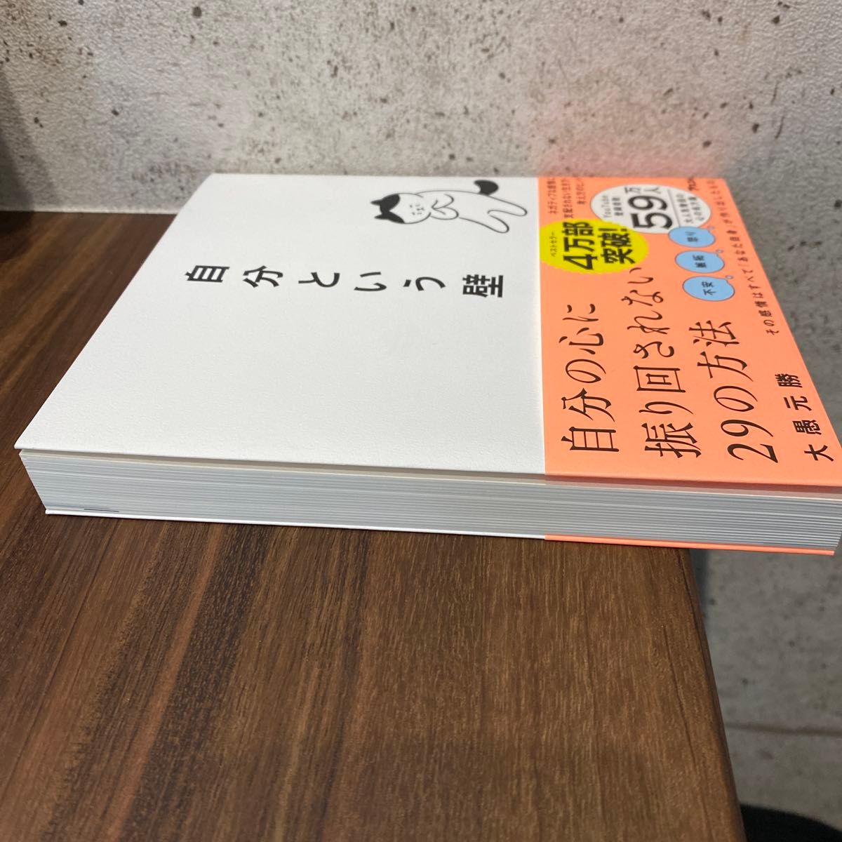 自分という壁　自分の心に振り回されない２９の方法 大愚元勝／著