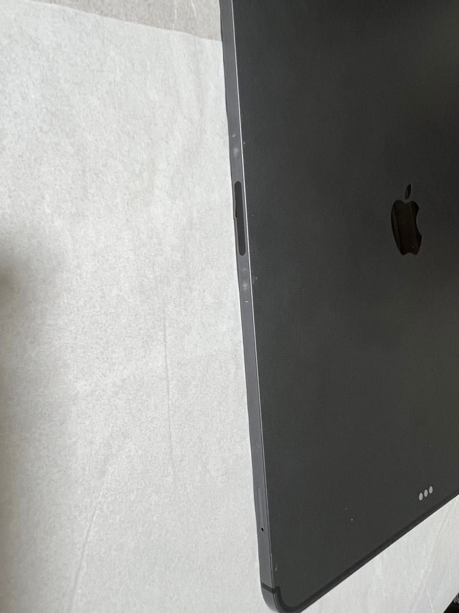 iPad Pro 12 9インチ第3世代512GB Wi-Fi Cellularモデル iPad Pro 12 9インチ第3世代512GB Wi-Fi Cellularモデル