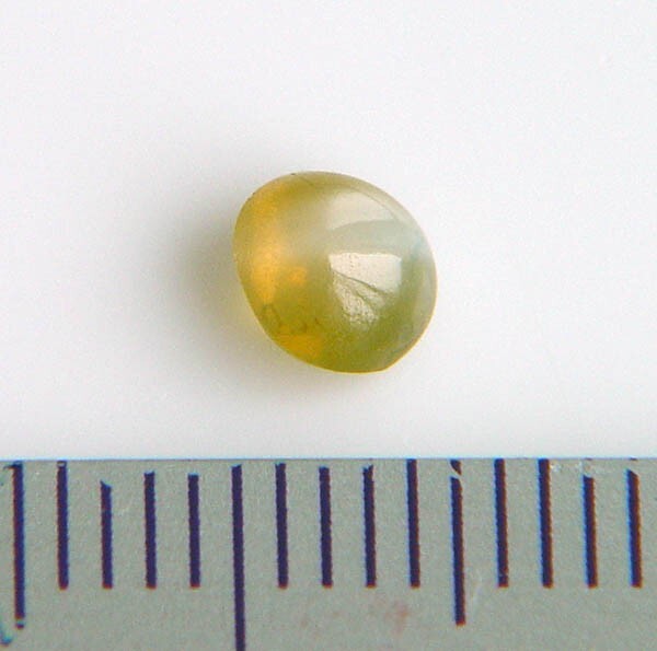 [ free shipping ] natural kliso beryl cat's-eye 1.48ct loose 