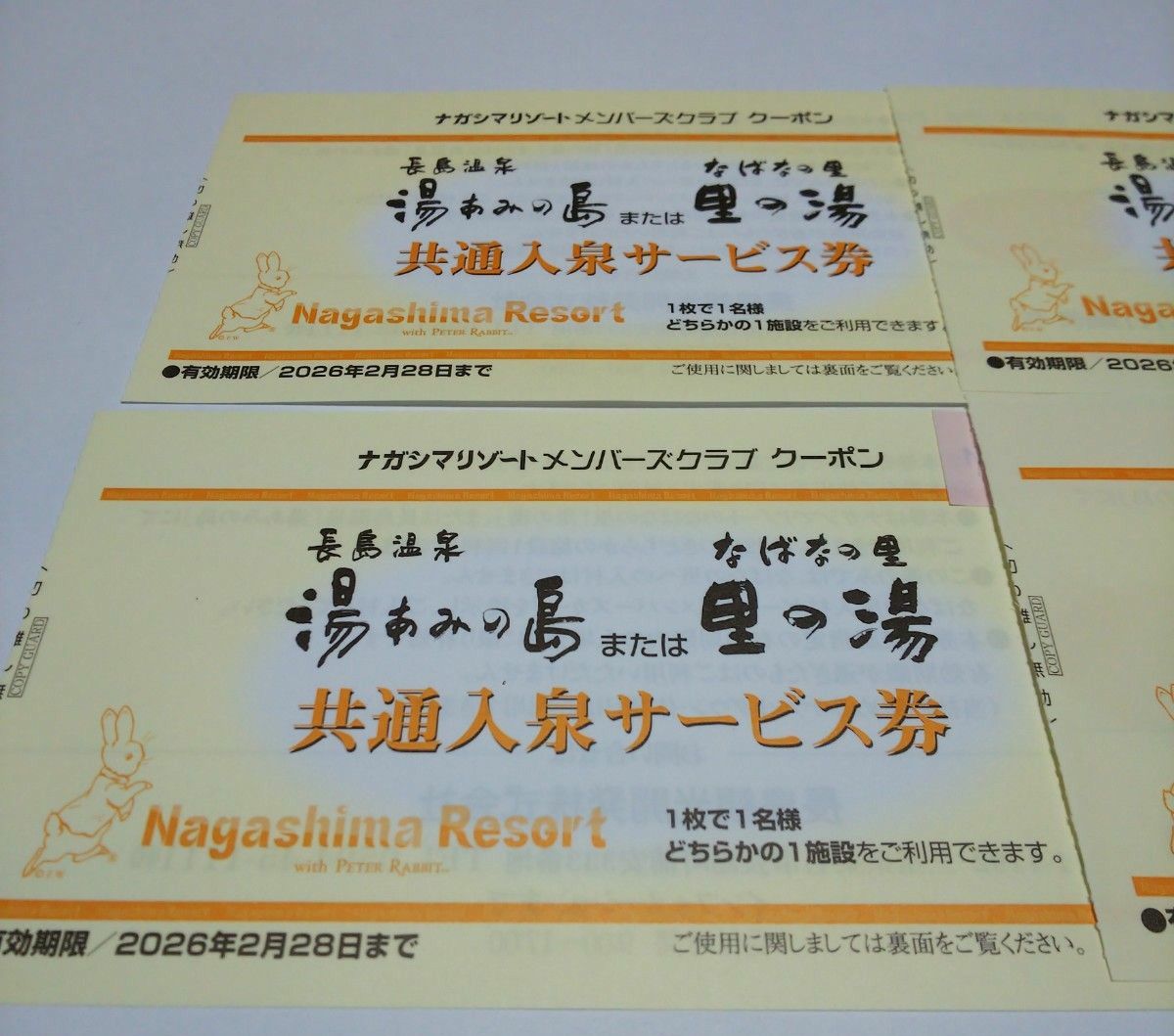 ４枚セット 期限なが～い！ 長島温泉 湯あみの島 里の湯 入泉券 なばなの里 ナガシマリゾート 2026年2月28日まで有効