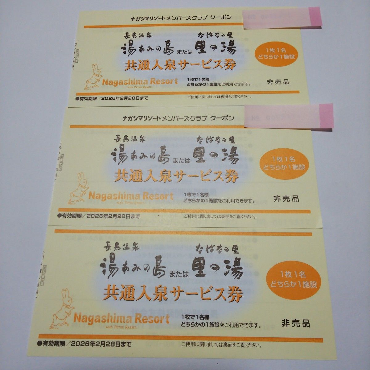 期限なが～い！ ３枚セット！ 長島温泉 湯あみの島 里の湯 入泉券 ナガシマスリゾート 2026年2月28日まで有効