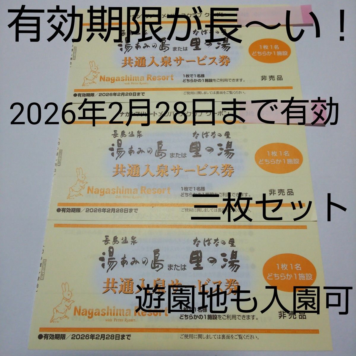  期限なが～い！ ３枚セット！ 長島温泉 湯あみの島 里の湯 入泉券 ナガシマスリゾート 2026年2月28日まで有効