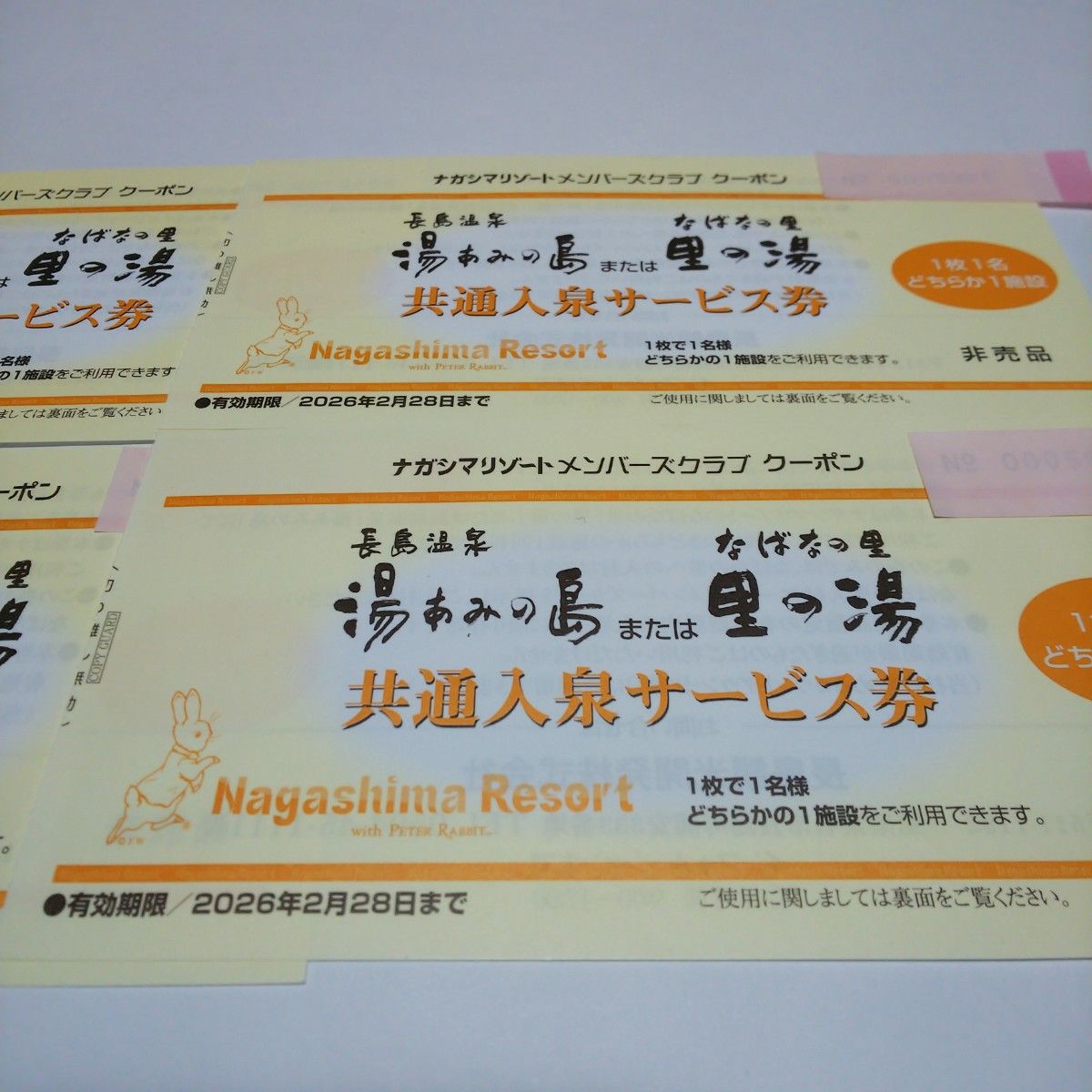 ４枚セット 期限なが～い！ 長島温泉 湯あみの島 里の湯 入泉券 なばなの里 ナガシマリゾート 2026年2月28日まで有効