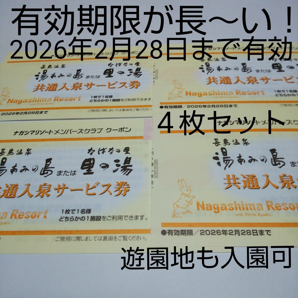 ４枚セット 期限なが～い！ 長島温泉 湯あみの島 里の湯 入泉券 なばなの里 ナガシマリゾート 2026年2月28日まで有効