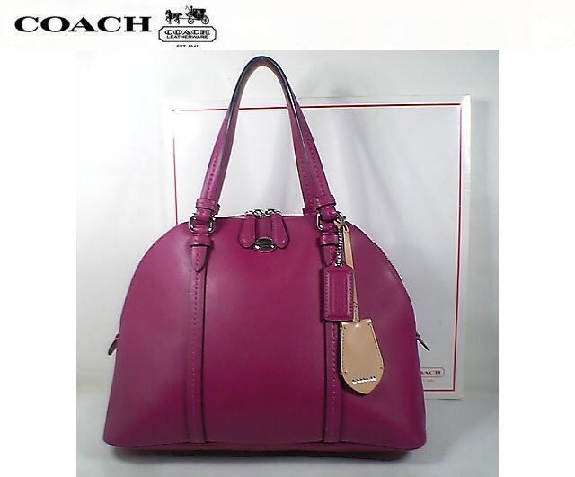 ★未使用に近い！★ＣＯＡＣＨ　コーチ★ウィロウ コーラドームサッチェル ハンド バッグ F253671 ■チャーム＆キークロシェット付■本物■_画像1