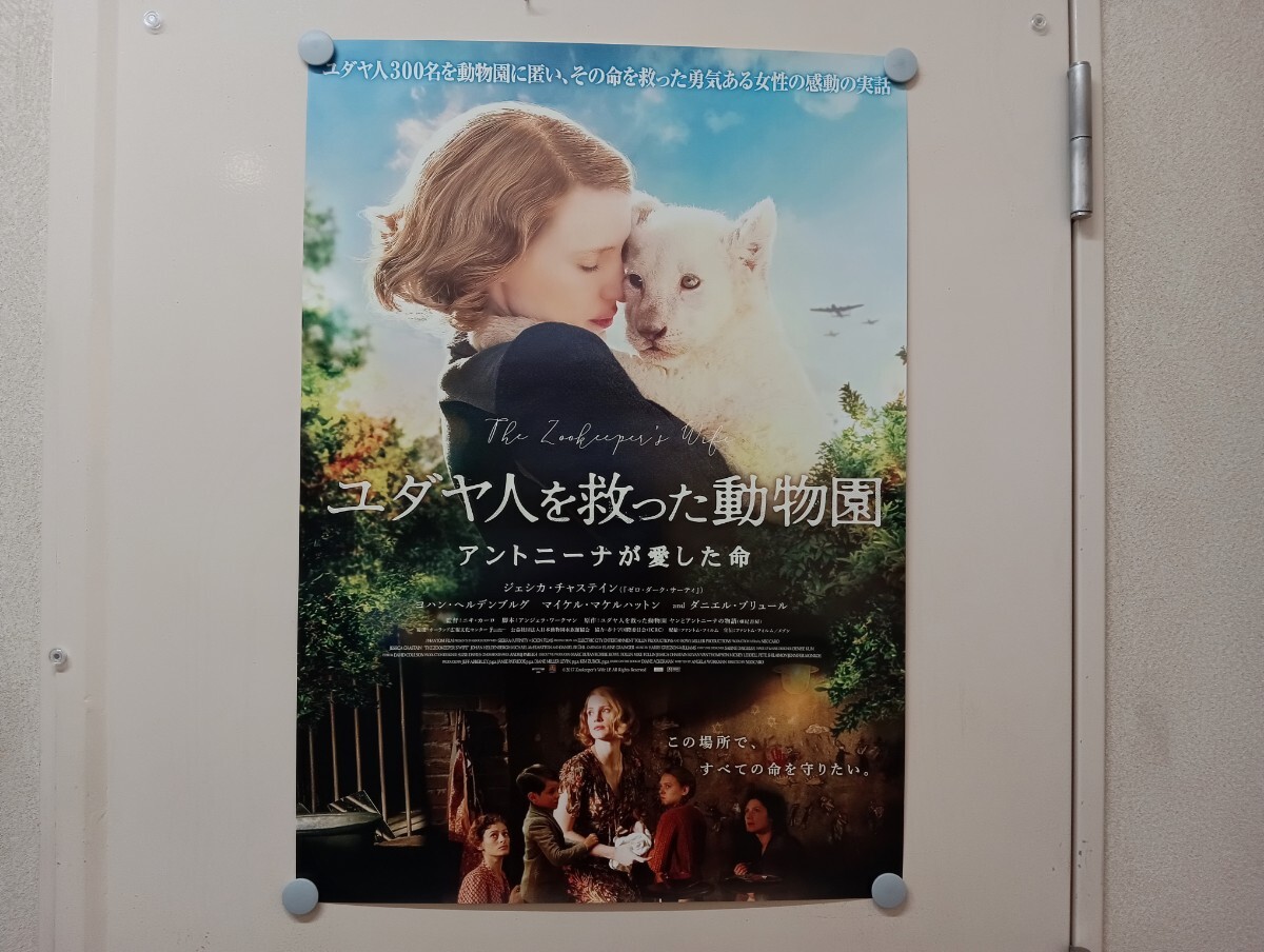 C25 ユダヤ人を救った動物園 アントニーナが愛した命 ニキ・カーロ監督 映画ポスター ジェシカ・チャステイン ヨハン・ヘルデンブルグ_画像1