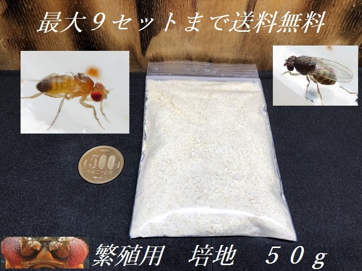 ★【送料無料】ショウジョウバエオリジナル培養用培地　５０ｇ■特価■ヤドクガエル　ビバリウム　爬虫類　生餌育成用品_画像1